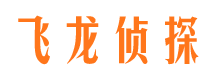 连江侦探公司